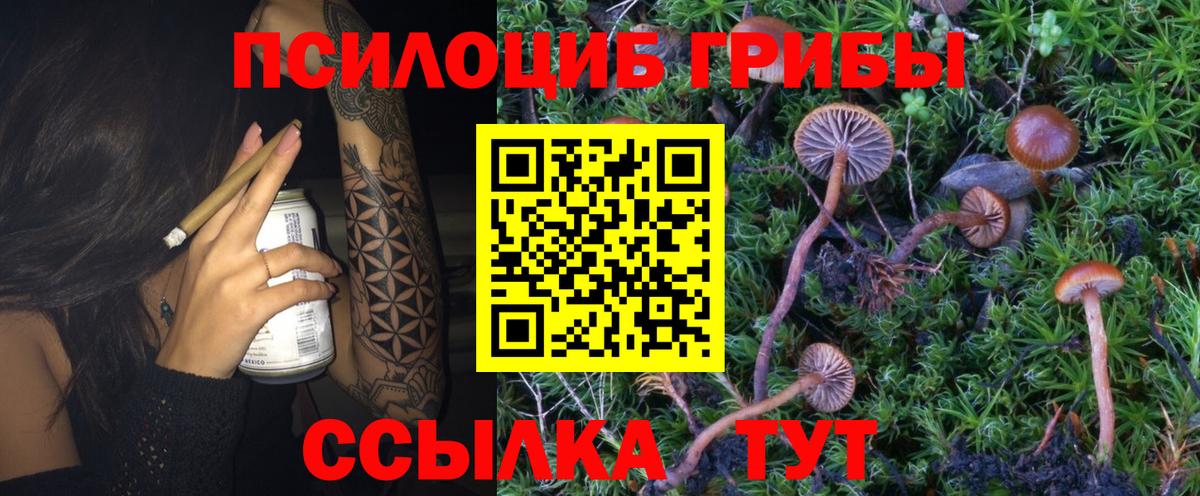 Псилоцибиновые грибы GOLDEN TEACHER Алатырь